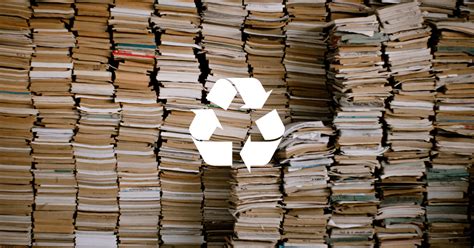 Can You Recycle Books: A Journey Through Knowledge and Sustainability