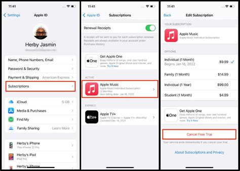 How to Cancel Apple Music on iPhone: A Symphony of Digital Liberation